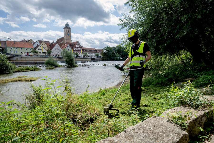 Akumulatorski trimer FSB 36-18 LTX BL 40 Metabo - Slika 8