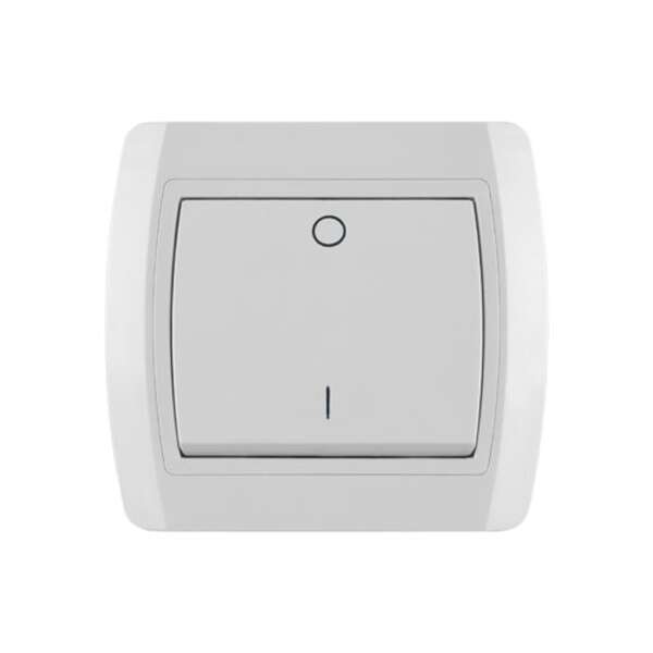 Dvopolna sklopka 10AX/250V, bezvijčana veza Status - Slika 1