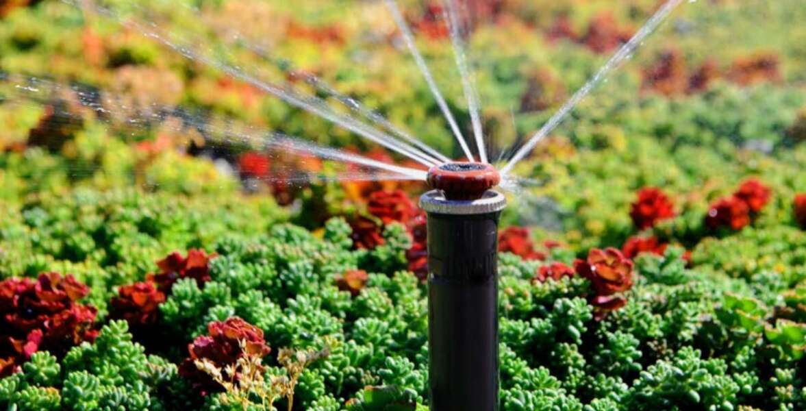 ECO rotator sa diznom MP1090 10cm - Slika 4