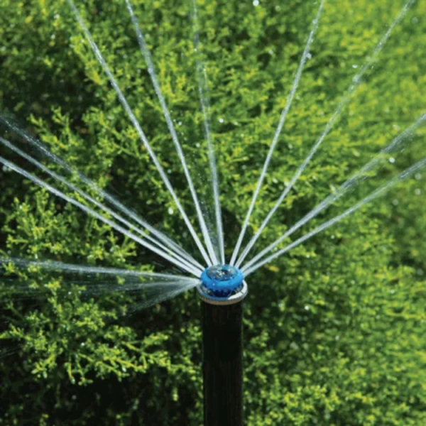 ECO rotator sa diznom MP2090 10cm - Slika 2