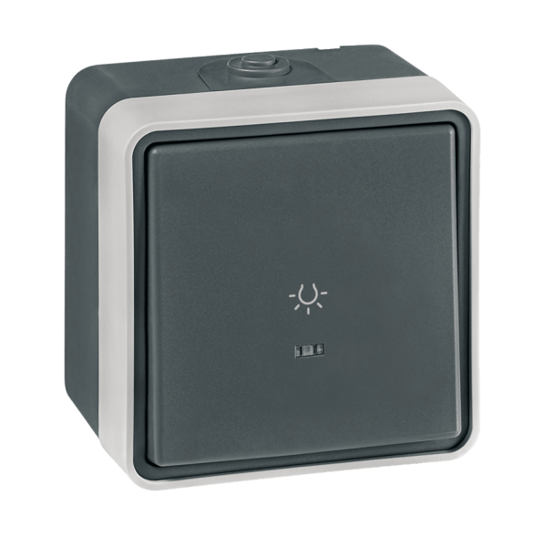 Taster sklopka svetlo sa indikacijom Protecta 10A/250V - Slika 1