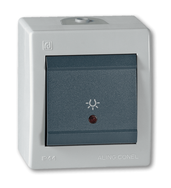 Taster za svetlo sa indikacijom Power 10A/250V siva - Slika 1