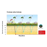 Smeša semena trave i cveća 0,5kg Happy Lawn Barenbrug - Slika 4