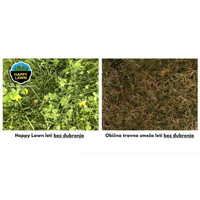 Smeša semena trave i cveća 0,5kg Happy Lawn Barenbrug - Slika 3