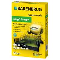 Barenbrug Tough & easy - obloženo seme trave