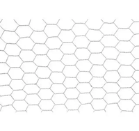 Heksagon pletivo 20mm x 0.7mm x 1.25m - Slika 2