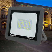 led-reflektor-100w-gry-3000k-ip65_7462.webp