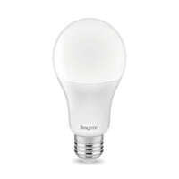 LED sijalica A65, 15W, 6500K E27