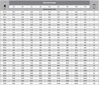 Odvijač ugaoni pneumatska Comp PRO ABAC - Slika 2
