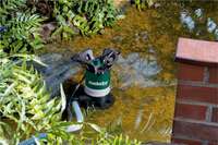 Potapajuća pumpa 850W za nečistu vodu PS 15000 S Metabo - Slika 6