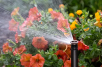 Ultra 04 dizna pop-up sprej PS-04 SS 5-30 1/2″ - Slika 2