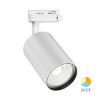 Šinski reflektor trofazni 3u1, 30W, beli